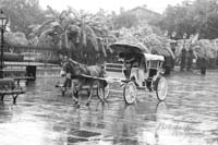 Jackson Square